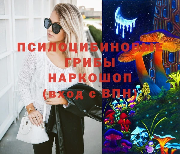 гидра Верея