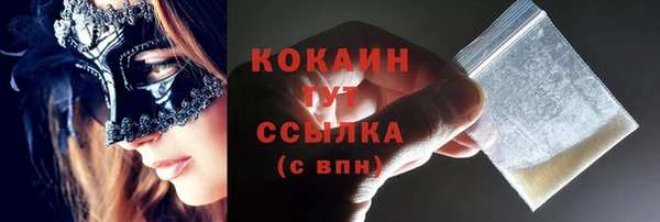 гидра Верея