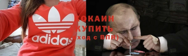 Альфа ПВП Бородино